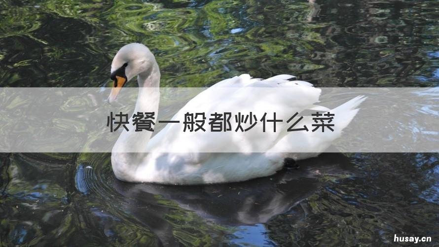 快餐一般都炒什么菜 什么菜适合做快餐的菜