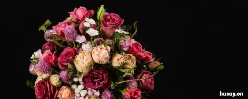 肉色玫瑰花语是什么意思 肉肉花的花语