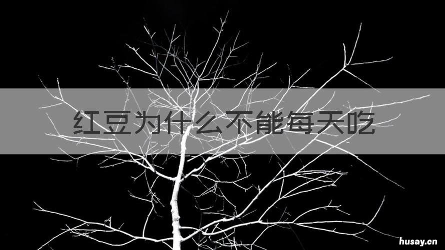 红豆为什么不能每天吃 你好请问红豆能天天吃吗?