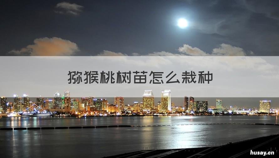 猕猴桃树苗怎么栽种 猕猴桃树苗栽种的间距是多少