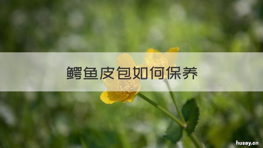 鳄鱼皮包如何保养 鳄鱼皮皮包怎么保养