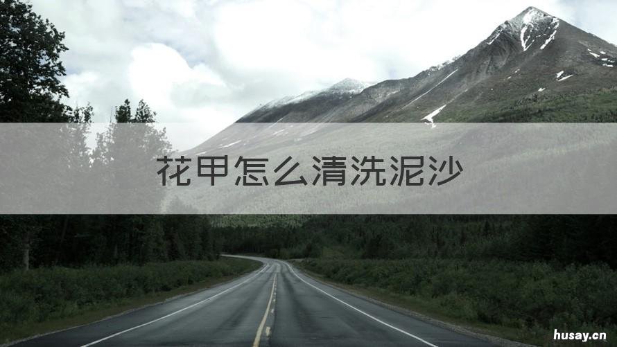 花甲怎么清洗泥沙 花甲怎么清洗去沙