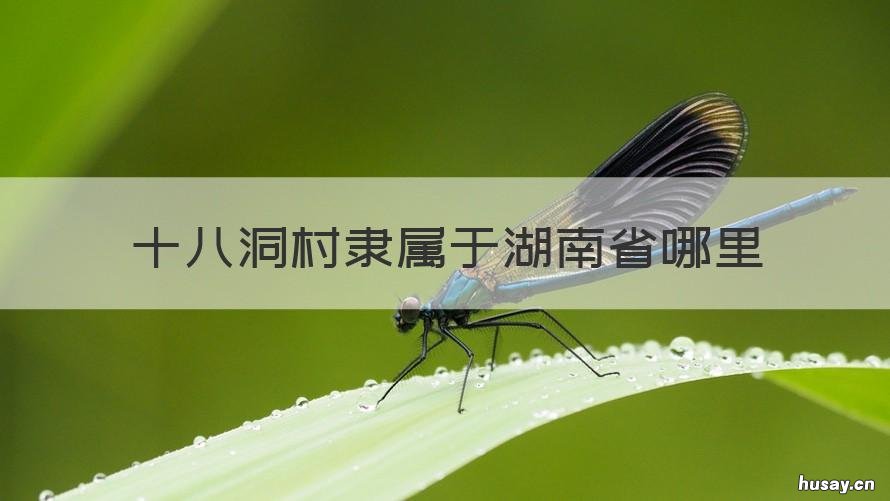 十八洞村隶属于湖南省哪里 十八洞村隶属湖南省的哪儿