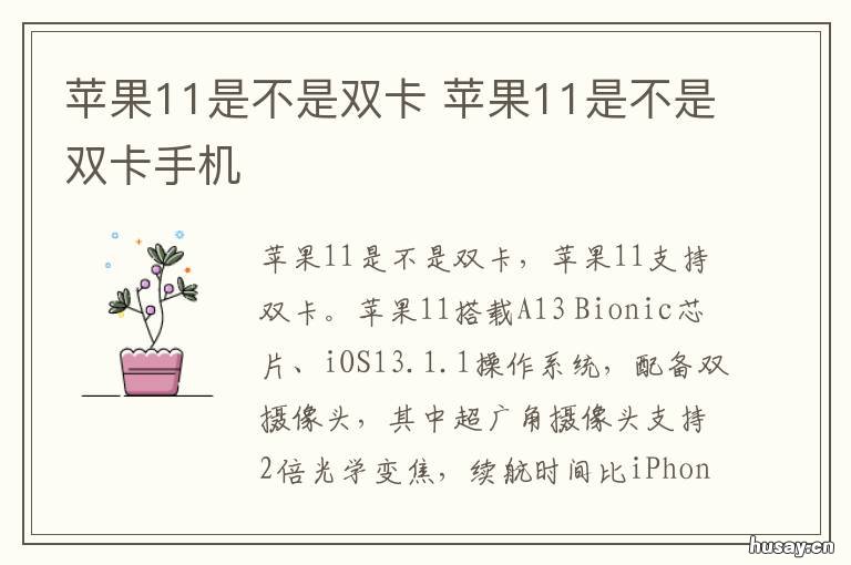 苹果11是不是双卡 苹果11是不是双卡怎么插
