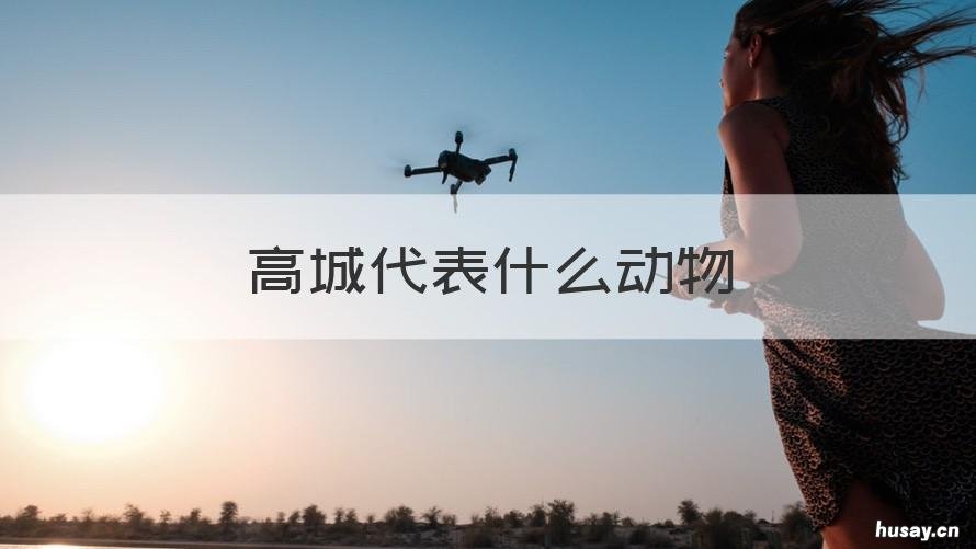 高城代表什么动物 高高的动物有什么
