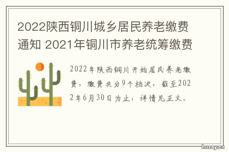 2022陕西铜川城乡居民养老缴费通知 铜川有多少人口2020年