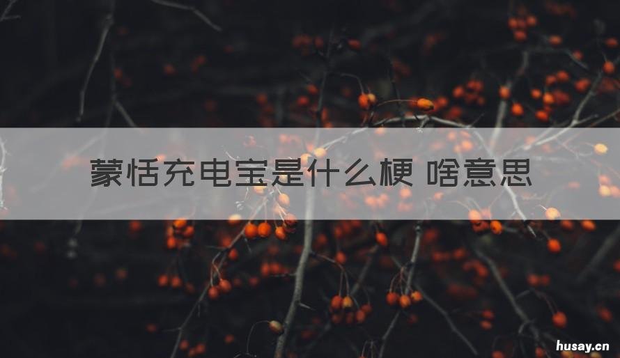 蒙恬充电宝是什么梗 啥意思