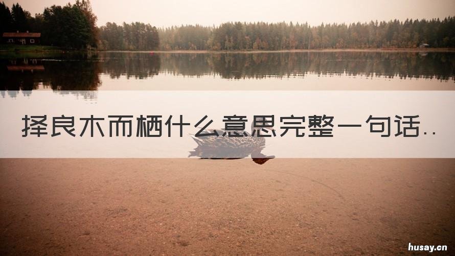 择良木而栖什么意思完整一句话 良摛择木而栖是什么意思