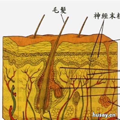 去痘印最有效的方法 男士去痘印最有效的方法
