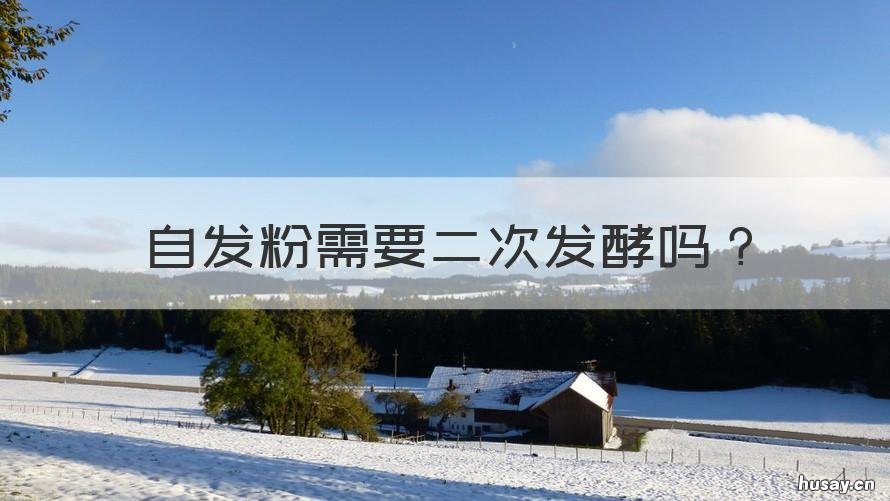 自发粉需要二次发酵吗