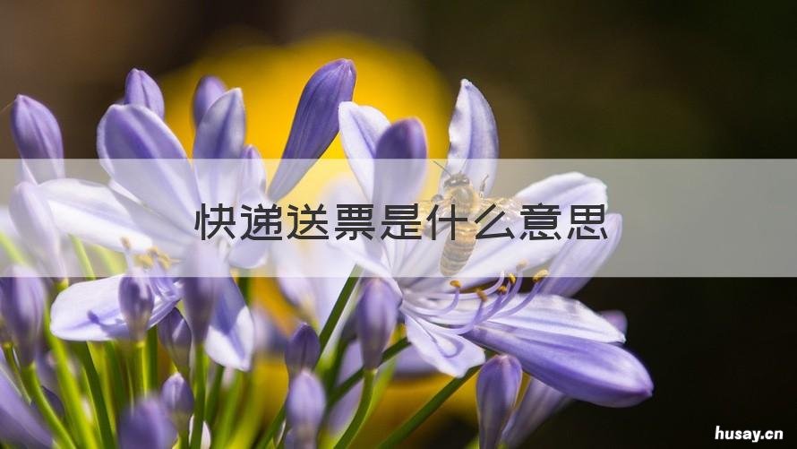 快递送票是什么意思 快递票是什么意思啊