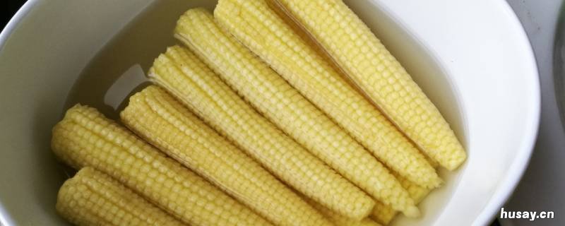 玉米笋是没长大的玉米吗 玉米嫩芽玉米笋