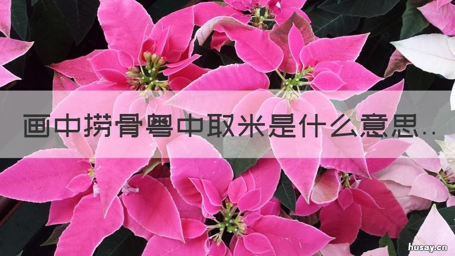 画中捞骨粤中取米是什么意思