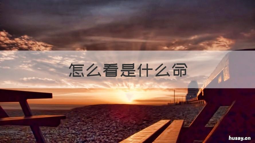 怎么看是什么命