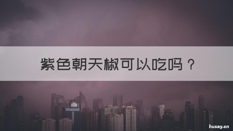 紫色朝天椒可以吃吗 紫色的朝天椒能吃吗