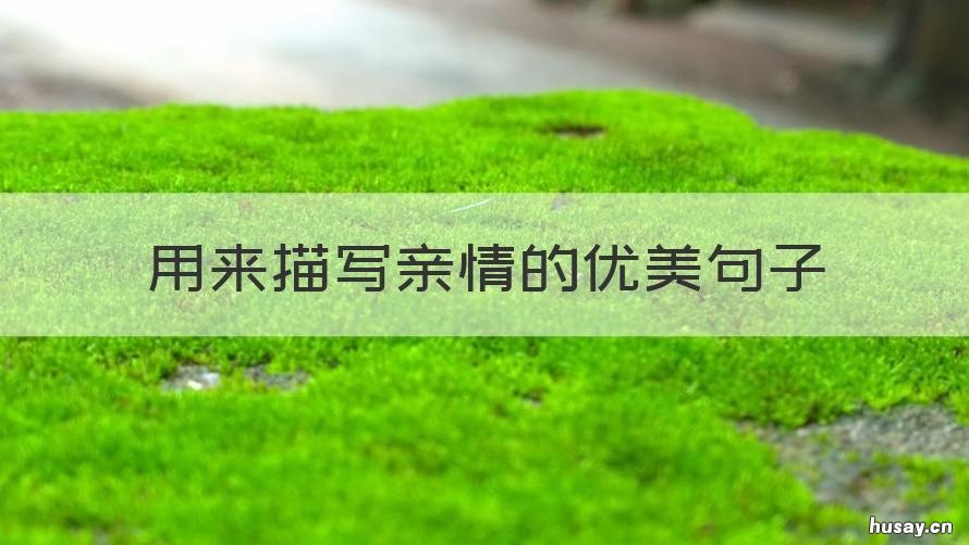 用来描写亲情的优美句子 用来描写亲情的优美句子简短