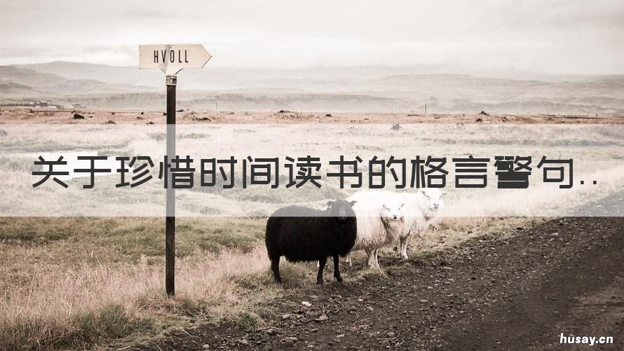 关于珍惜时间读书的格言警句 关于读书和珍惜时间的名言警句