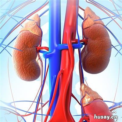 肾虚的症状有哪些 肾虚的症状有哪些怎么治疗