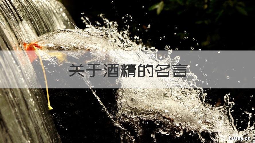 关于酒精的名言 赞美酒精的经典句子