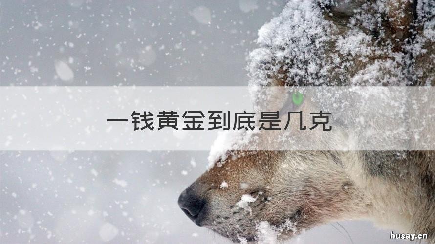 一钱黄金到底是几克 一钱黄金到底是几克百度百科