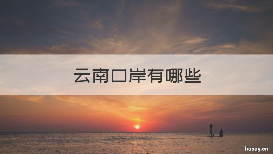 云南口岸有哪些 云南有哪几个口岸