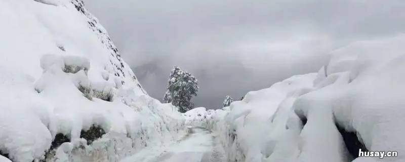 下雪后高速公路上都会除雪吗 下雪后高速会铲雪吗