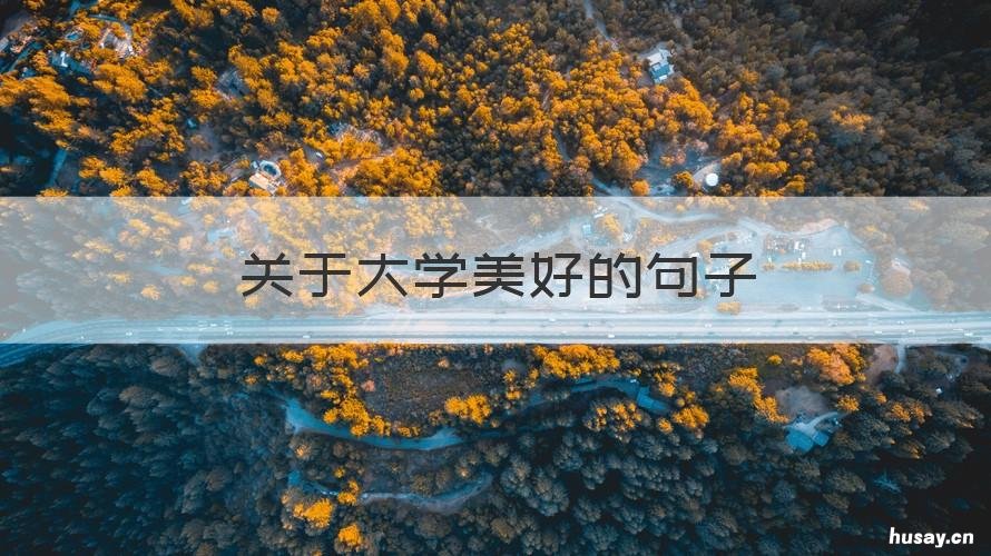 关于大学美好的句子 大学中的好句子