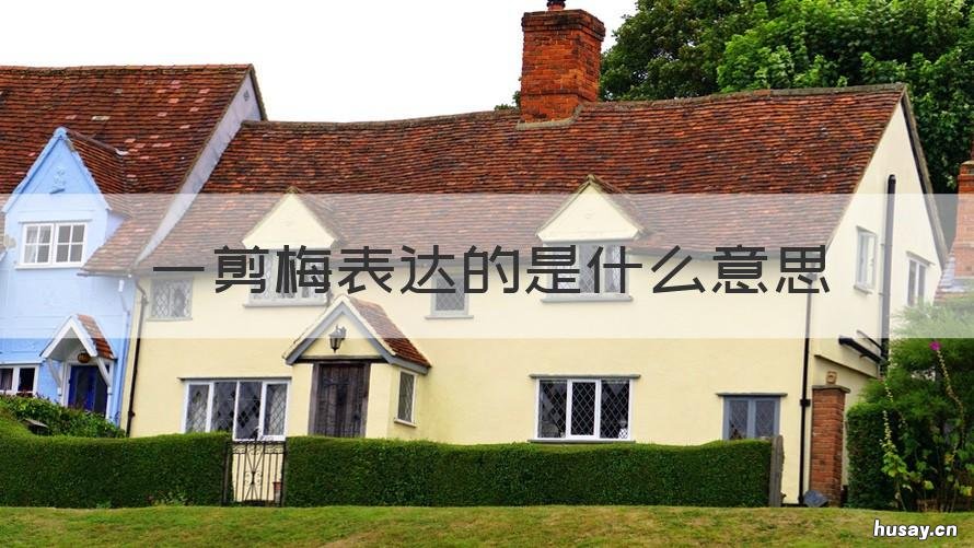 一剪梅表达的是什么意思 一剪梅表达的是啥意思