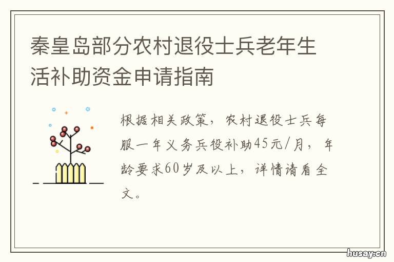 秦皇岛部分农村退役士兵老年生活补助资金申请指南 秦皇岛 老兵