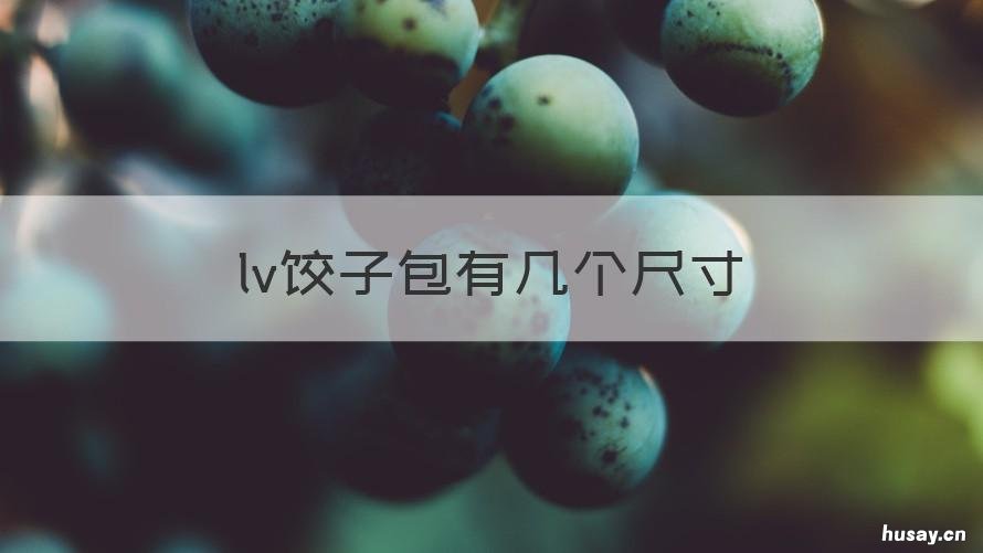 lv饺子包有几个尺寸 lv老花饺子包有几个尺寸