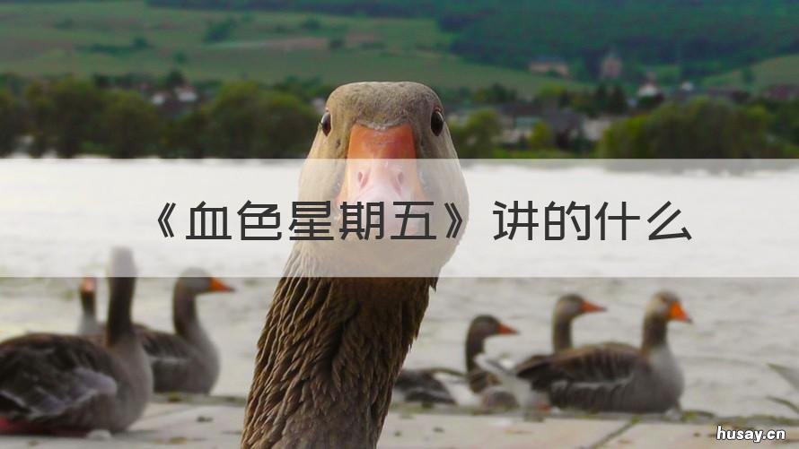 《血色星期五》讲的什么 电影血色星期五剧情介绍