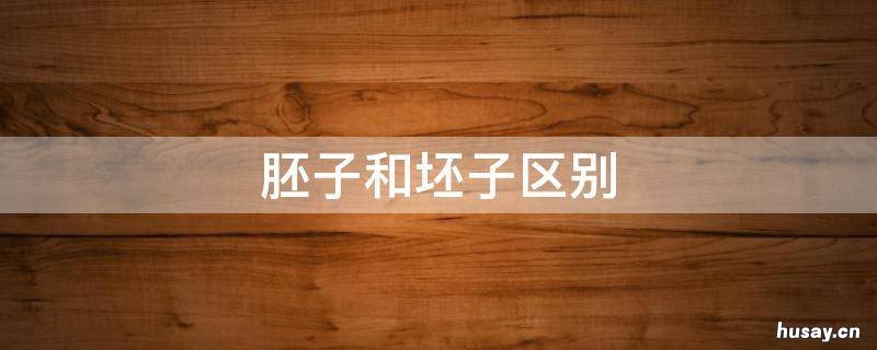 胚子和坯子区别 胚是什么样的