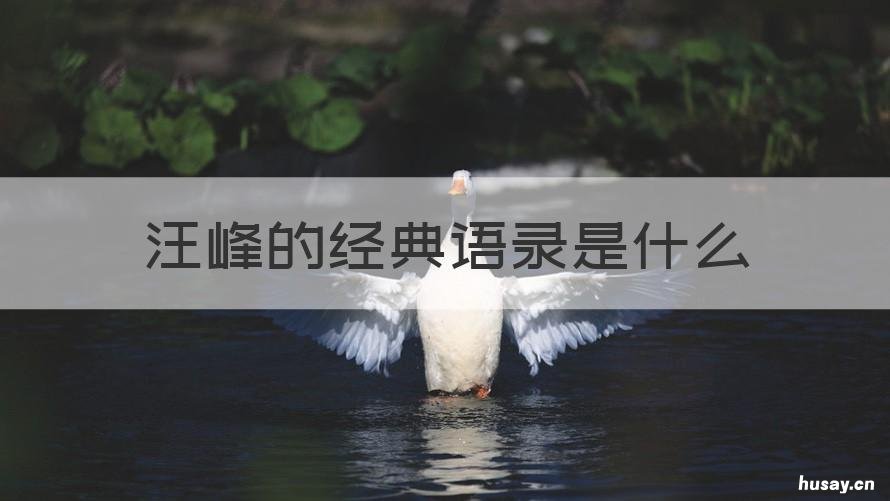 汪峰的经典语录是什么 汪峰的经典语录是什么意思