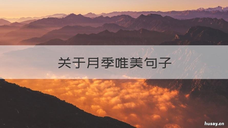 关于月季唯美句子 赞美月季的句子唯美短句