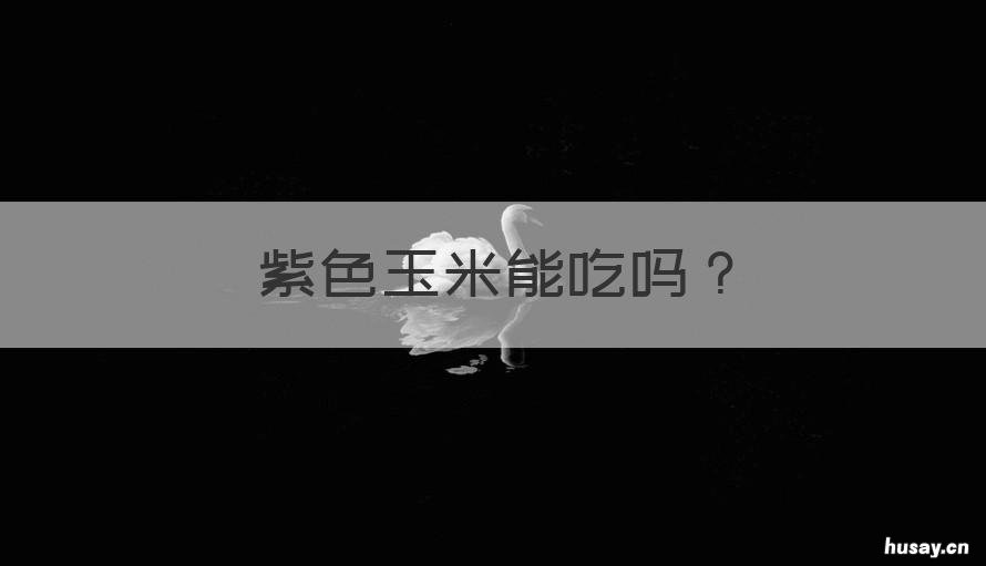 紫色玉米能吃吗 紫色玉米好吃吗