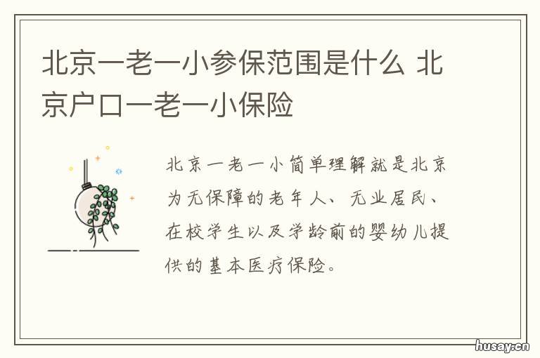北京一老一小参保范围是什么 北京一老一小保险基数