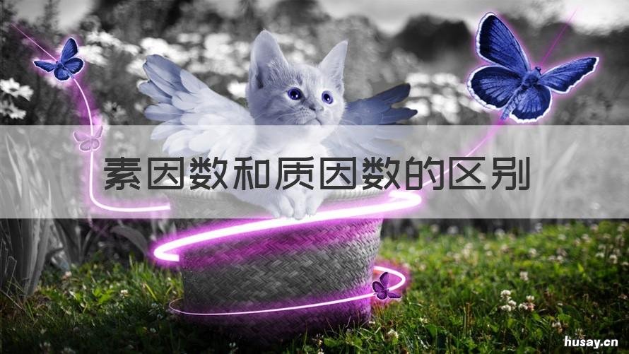 素因数和质因数的区别 质因数和因数的区别是什么