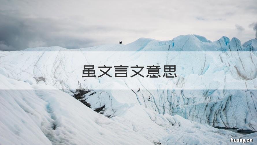 虽文言文意思 虽然文言文的意思