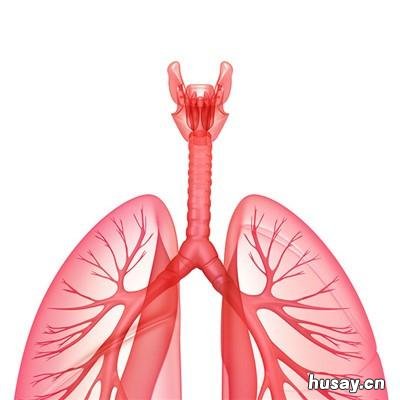 左肺下叶结节影是不是肺癌 左肺下叶类结节影