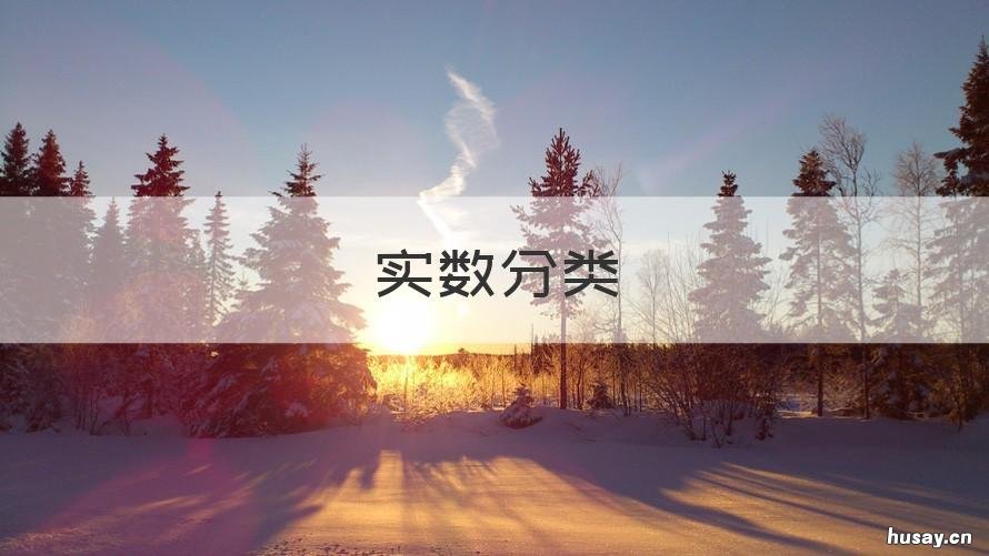 实数分类 实数的分类三种分法