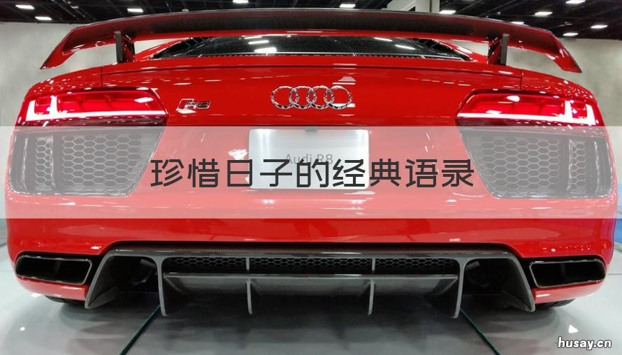 珍惜日子的经典语录 有关珍惜时间的语录