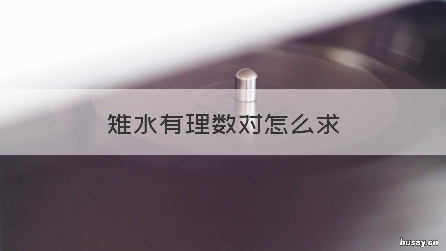 雉水有理数对怎么求 符合条件的雉水有理数对