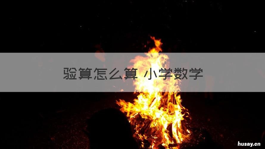 验算怎么算 小学数学 除数验算怎么算 小学数学