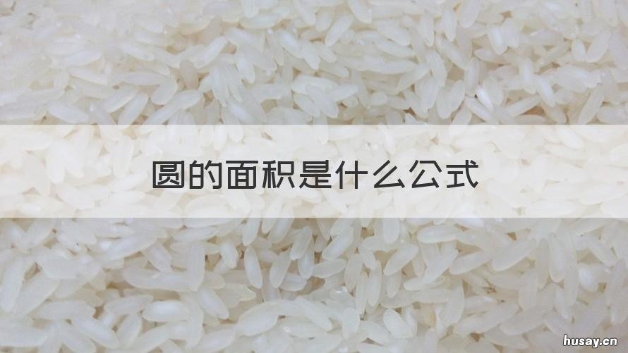 圆的面积是什么公式 圆的面积公式是什么啊?