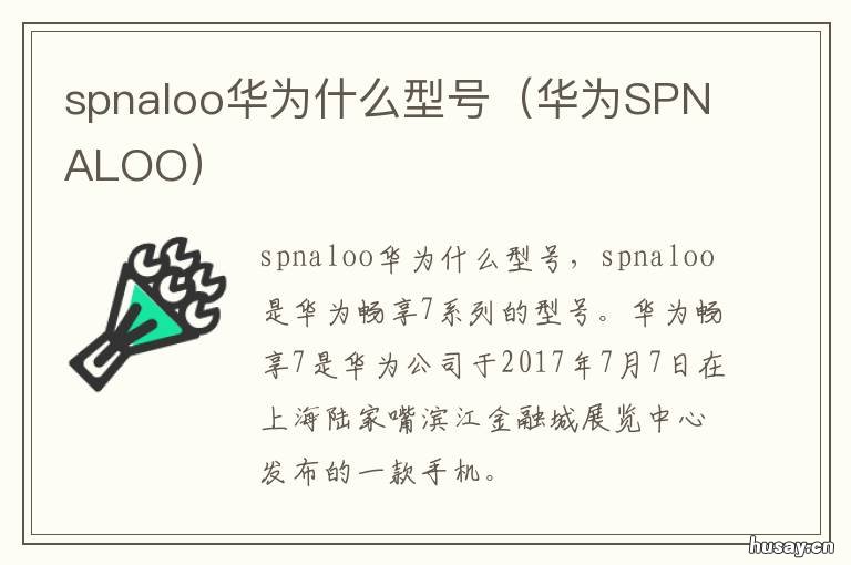 spnaloo华为什么型号 spnaloo是华为什么型号