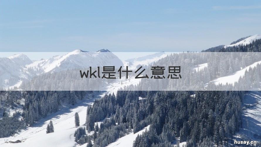 wkl是什么意思 cad中wkl是什么意思