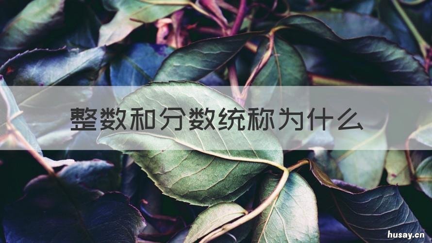 整数和分数统称为什么 什么统称为整数什么统称为分数