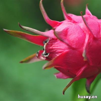 糖尿病饮食指南吃什么水果比较好 糖尿病饮食吃些什么