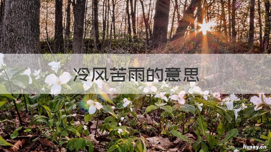 冷风苦雨的意思 冷风苦雨的意思解释