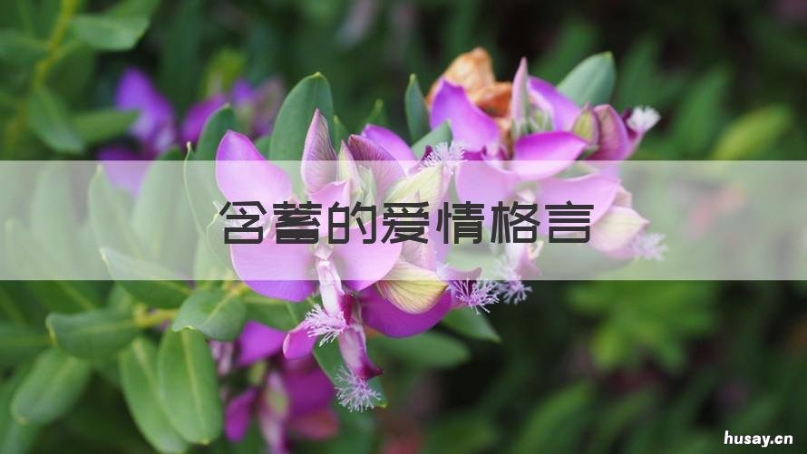 含蓄的爱情格言 含蓄的爱情格言短句